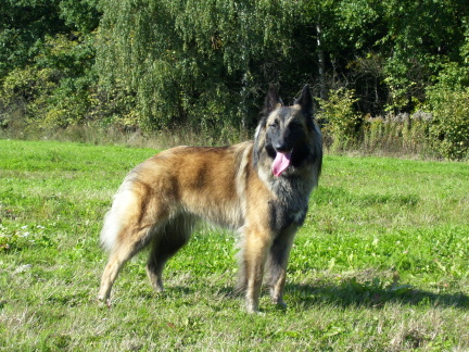 Léto 2007 