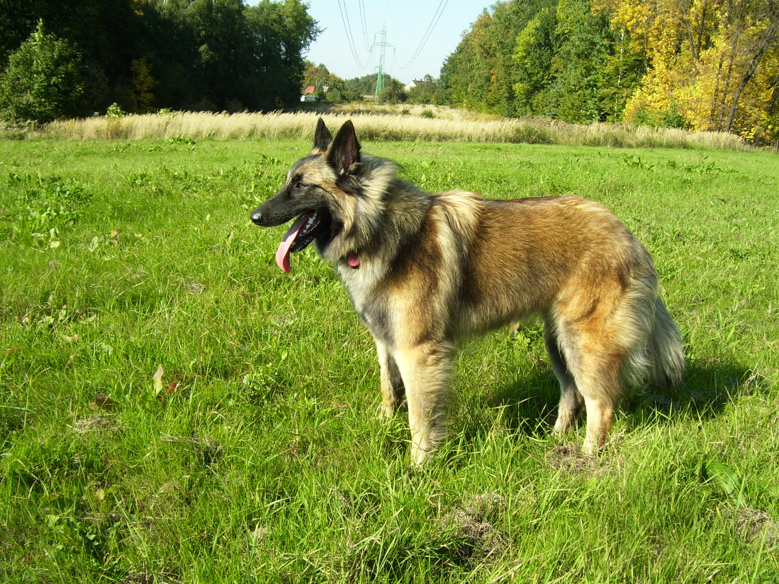 (111)Léto 2007