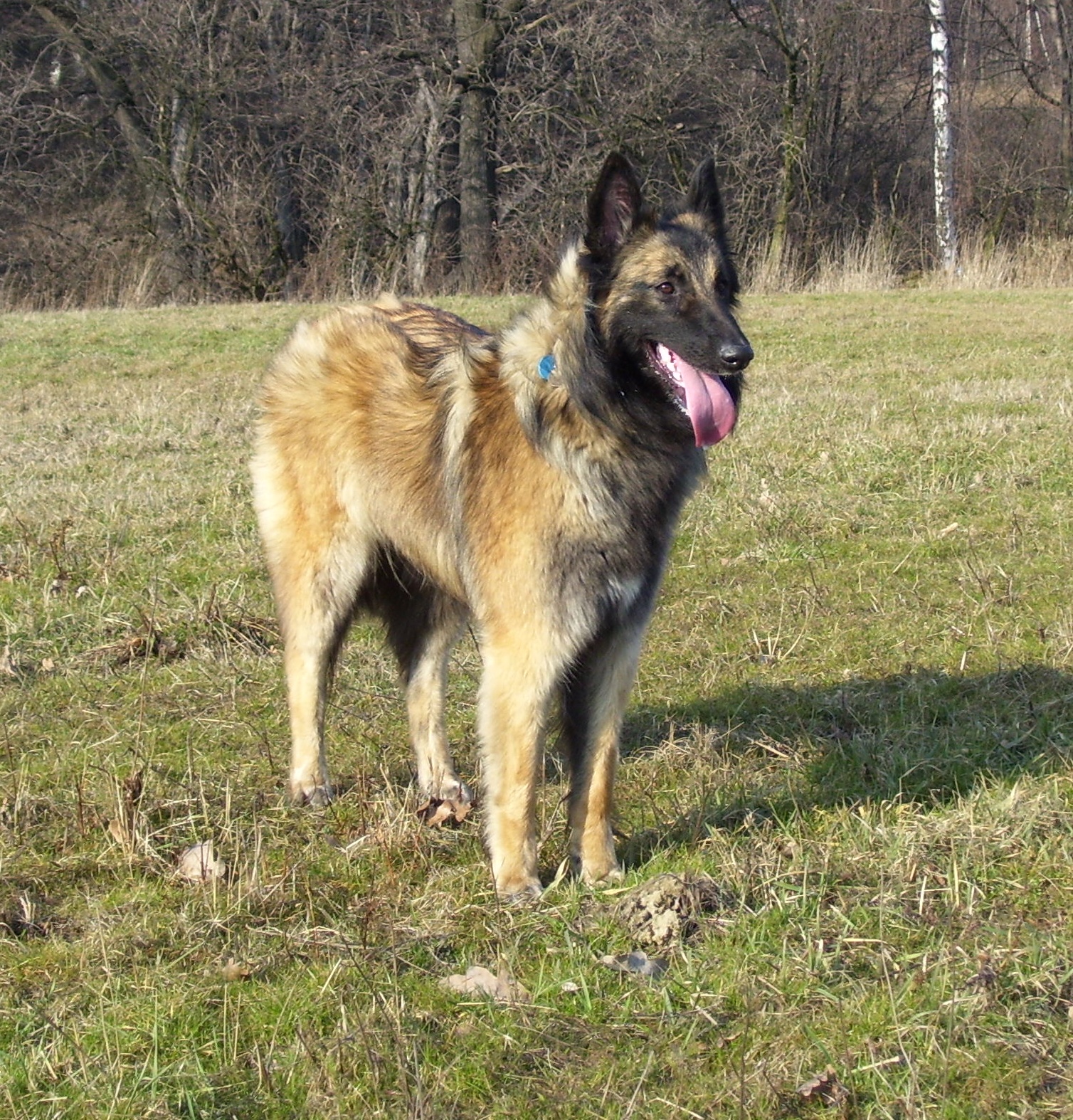 (112)Léto 2007  