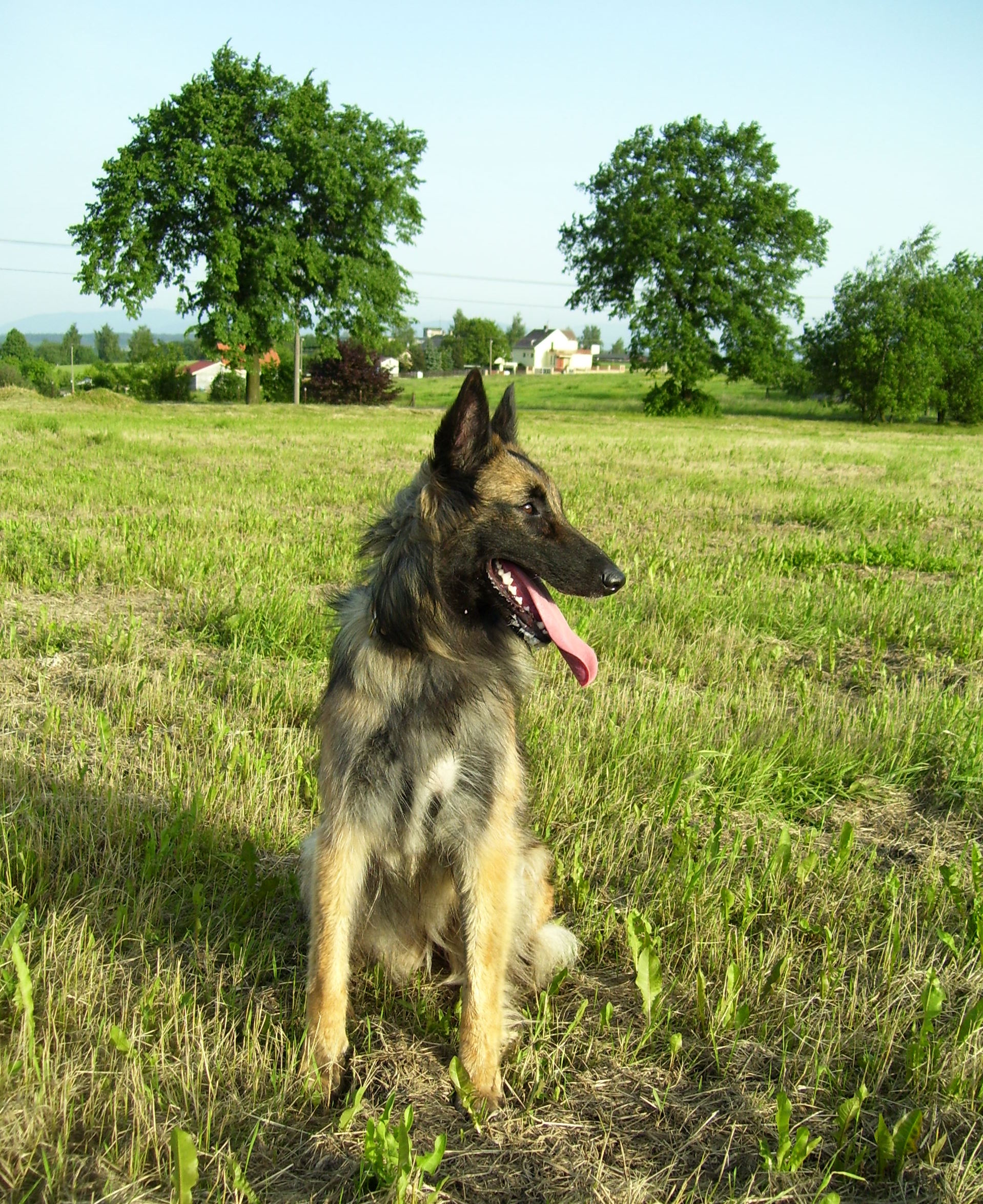 Jaro 2008