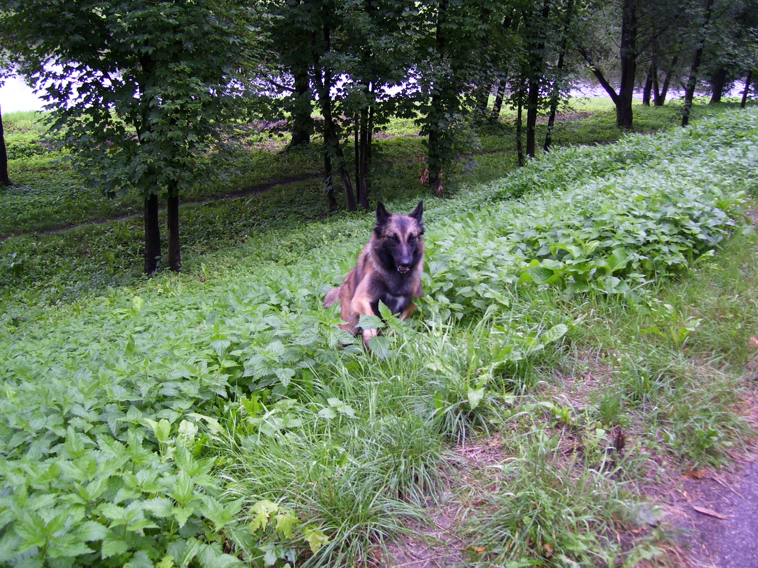 Léto 2008