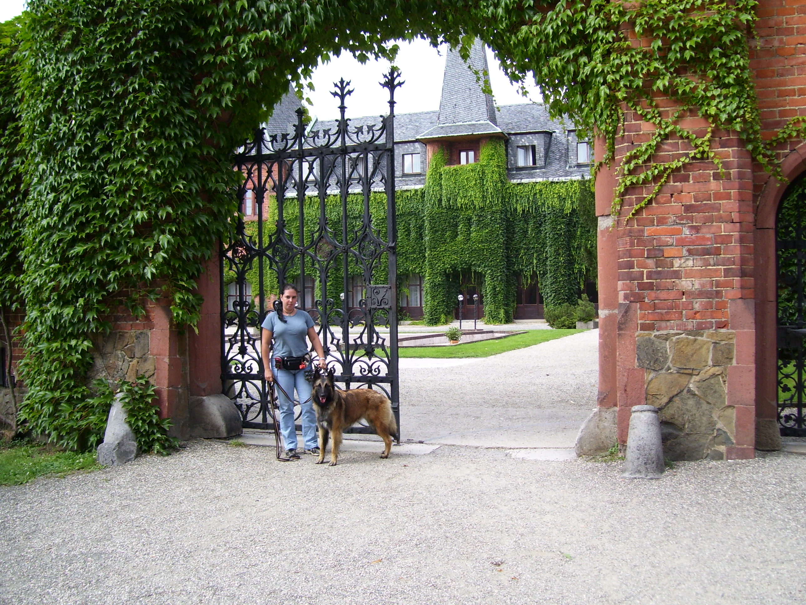 (121)Dovolená 2008  