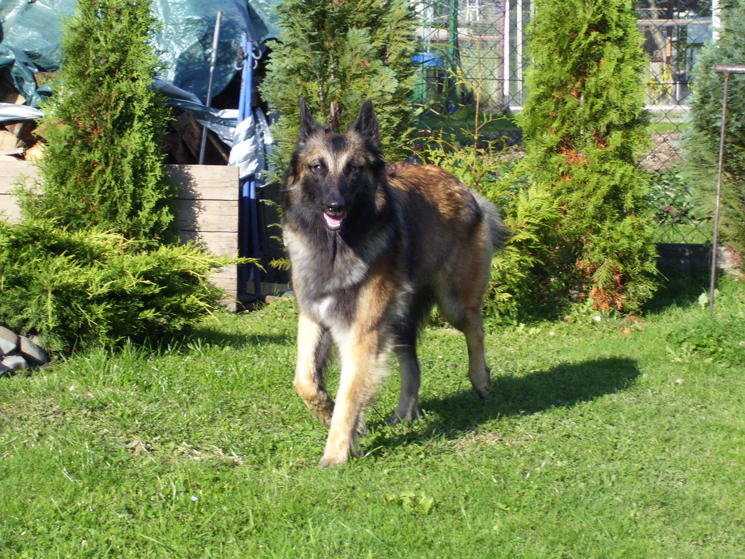 (127)Říjen 08  