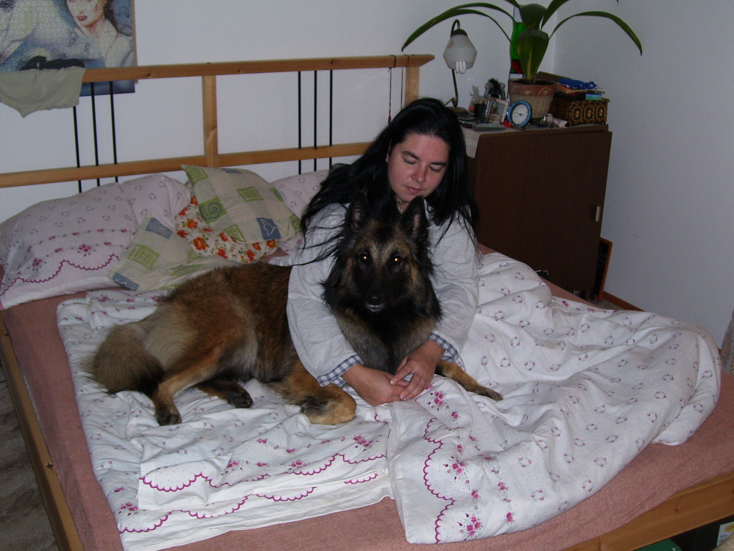 Budíček