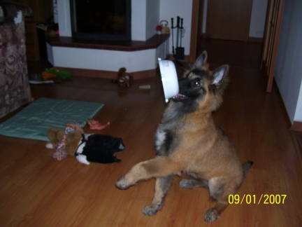 Ještě
